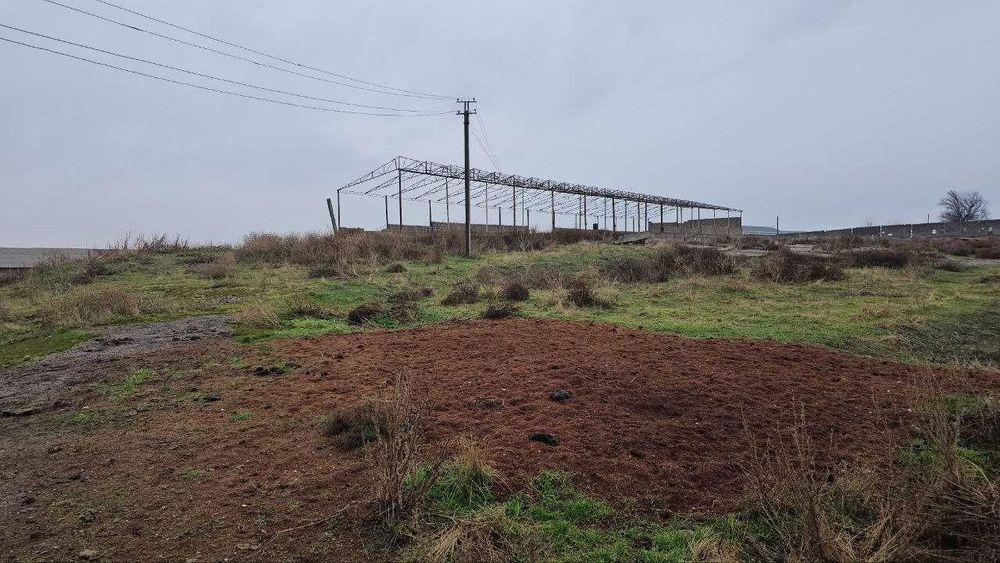 Продаётся База Ахангаран 50 сот 1 линия и База  Тойтепа 4,7 га