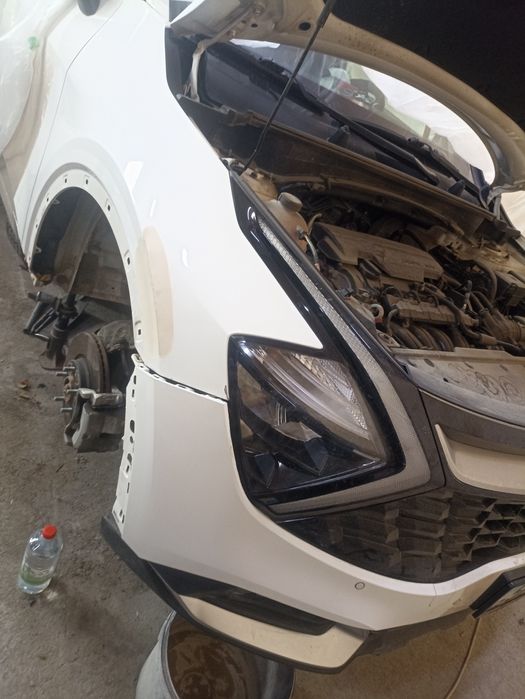 Костоправ маляр полировка