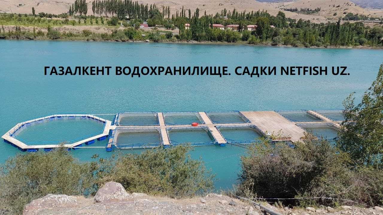 Конструкции рыбоводных садков от производителя Люксол в России
