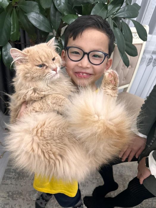 Мысыққа жақсы қарайтын адамға беріледі.