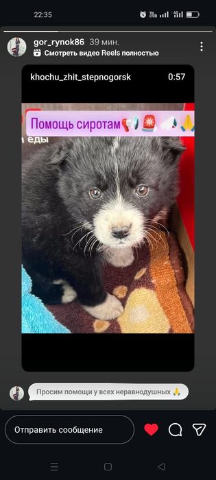 Срочно ищем дом малышам