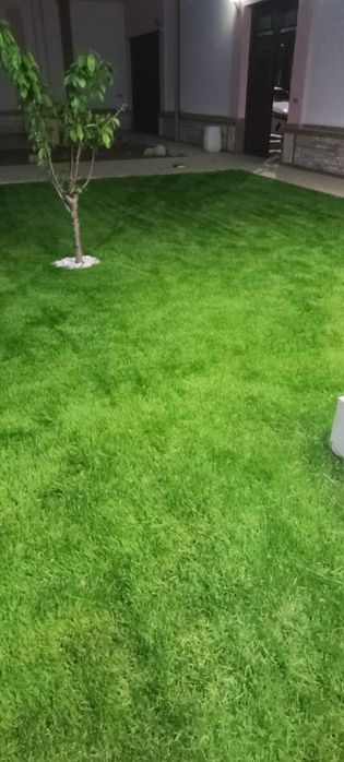 Газон установка кв 25 000