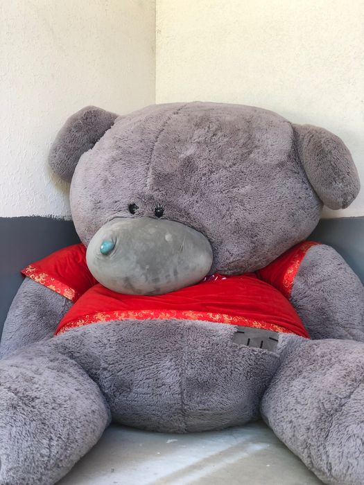 Медведь в продаже