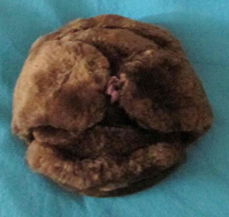 Caciula din urson,blana naturala, ruseasca, maro, noua, pt. copil