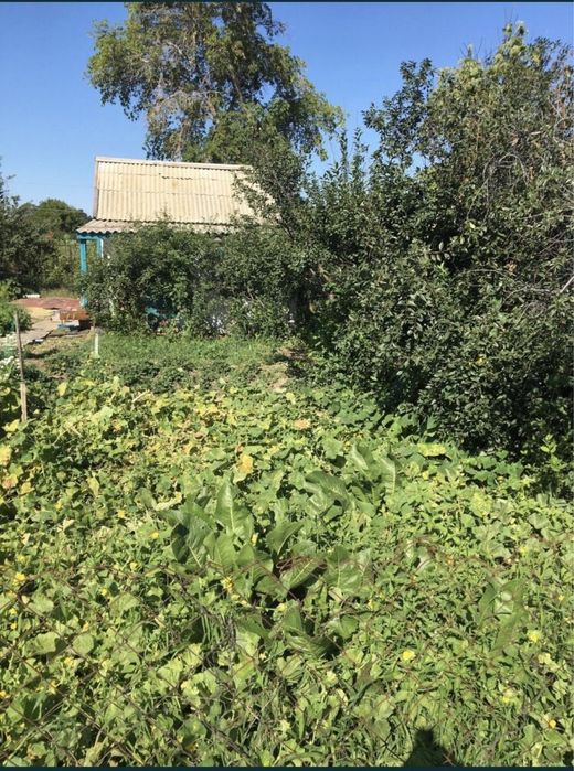 Дача 2 коллективе