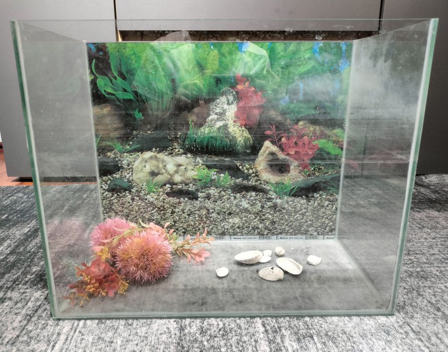 Домашний аквариум