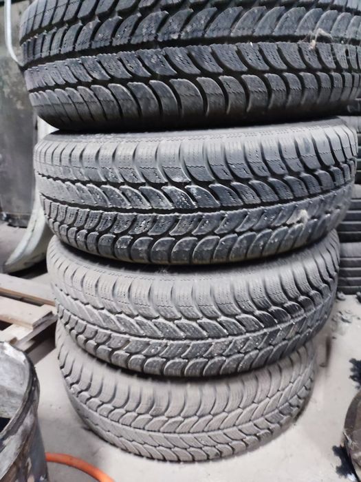 Roti iarna ..       .