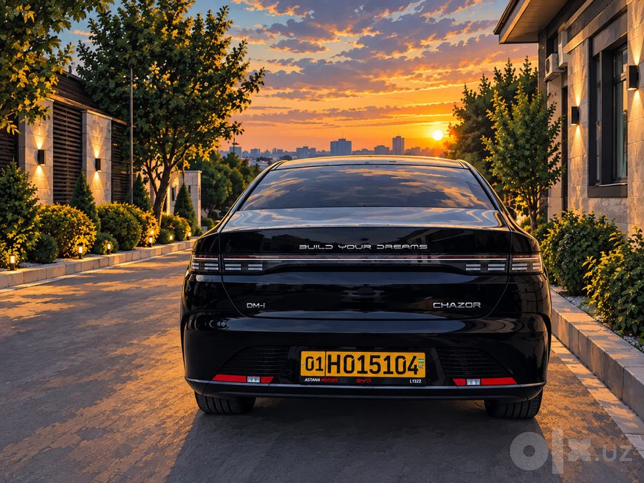 Byd chazor 2026 55 tali