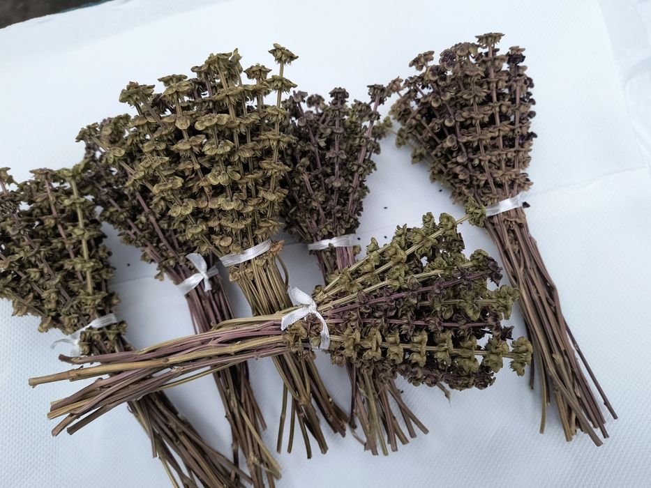 Buchete de busuioc pentru Bobotează