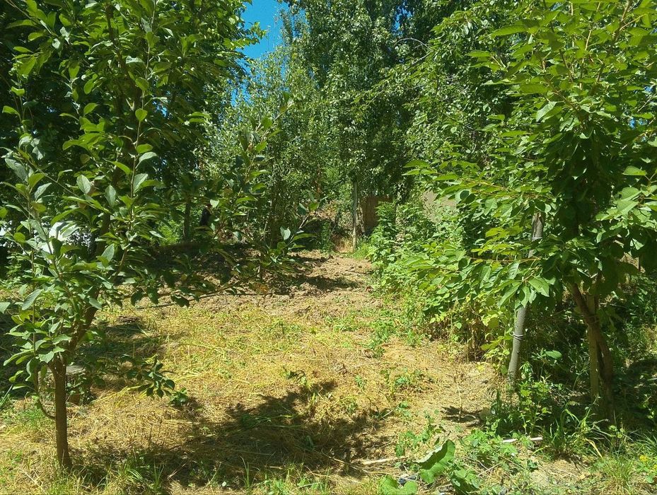 Йер сотилади 6 сток чорвок срочний