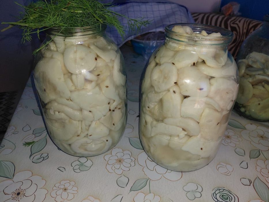 Продам соленые грузди