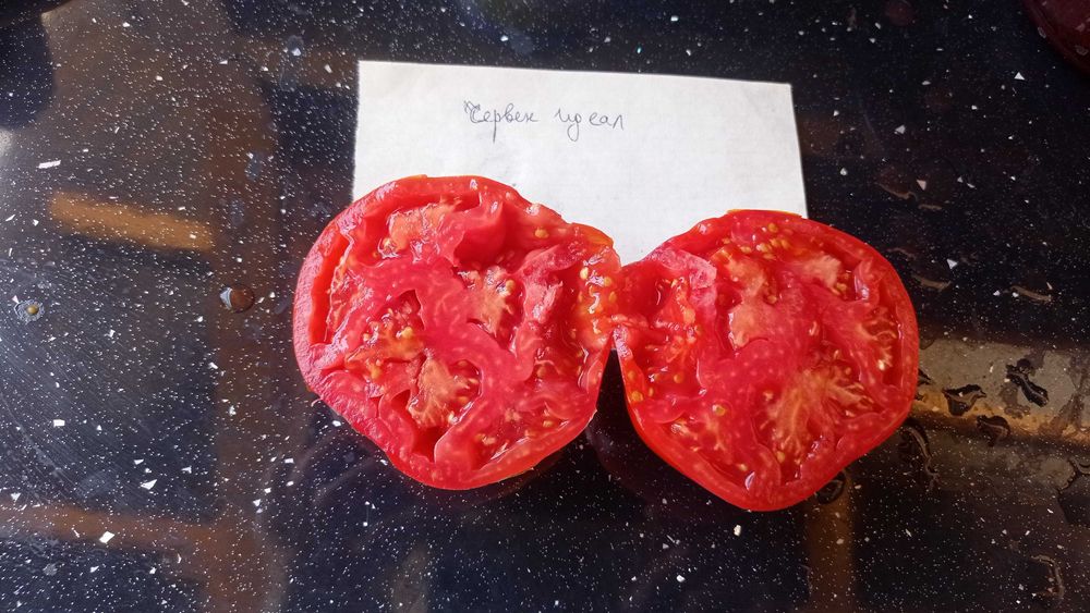 Стари сортове семена