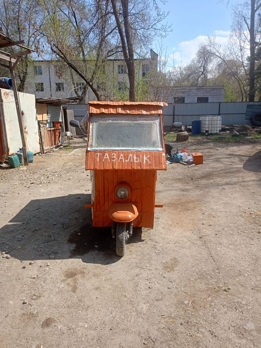 Муравей  в хорошем состоянии