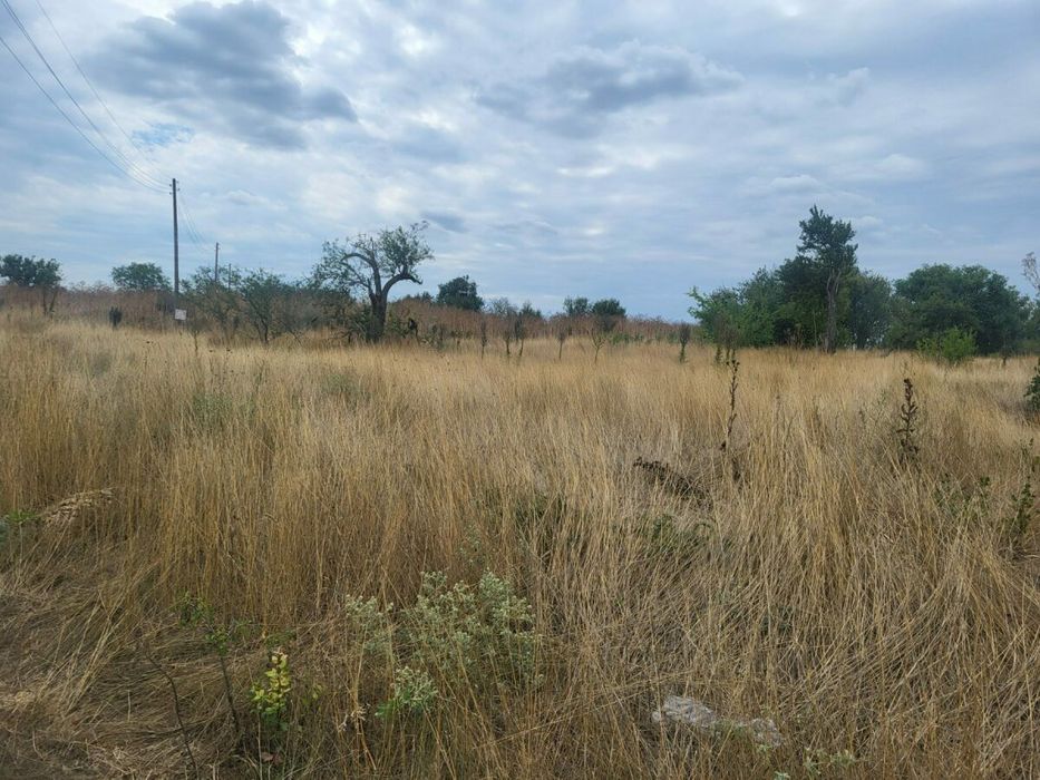 Голям парцел за продажба в с. Ботево, обл. Варна