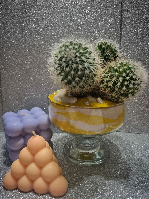 Свечи и флорариумы