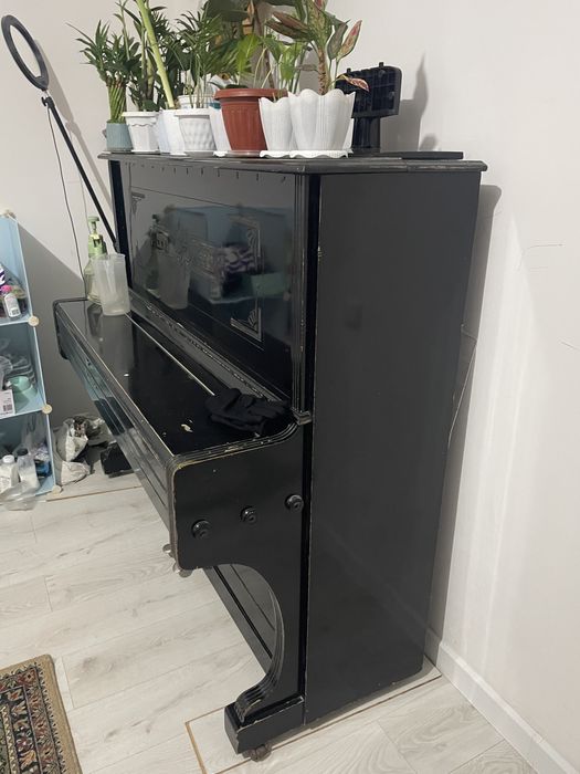 Пиянина в хорошем состоянии