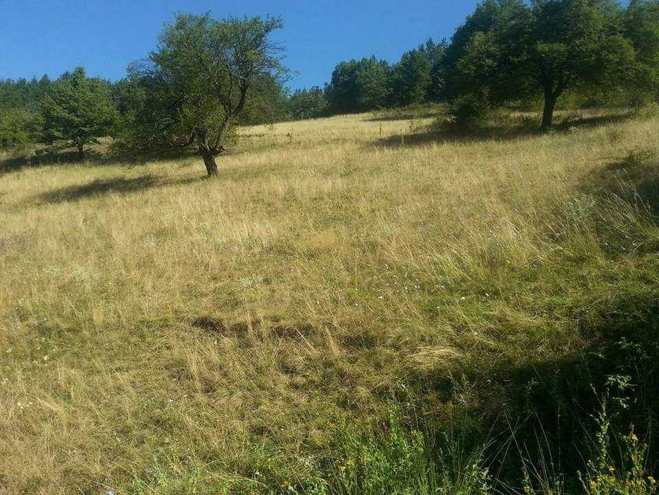 Продава се Парцел в Своге - 750 кв.м за 17 €/кв.м - Снимка #2