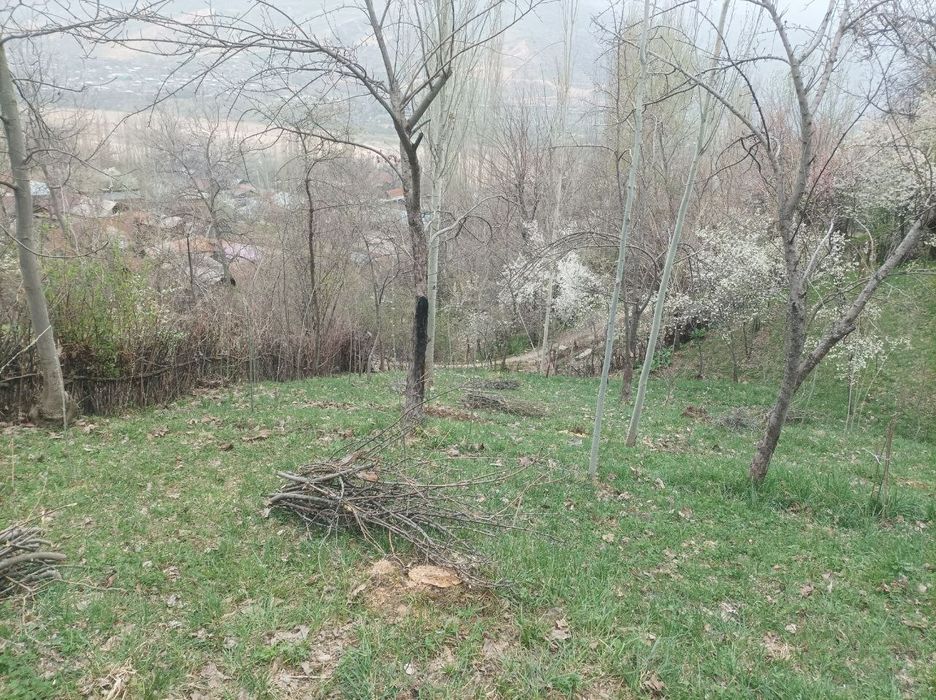 Yer sotiladi srochna 10 sotix Bo'stonliqda