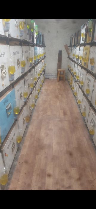 Camion Apicol Mercedes Atego cu albine