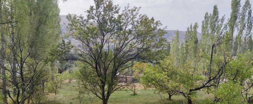 Продаётся участок в Чимгане