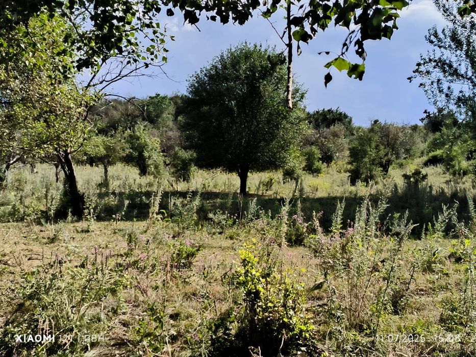 Перспективный участок