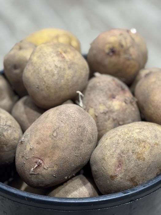 Продам картошку!!!