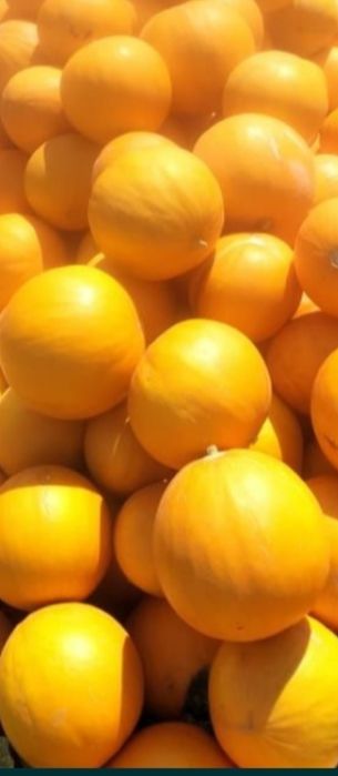 Семена Бакинка колхозница выши сорт