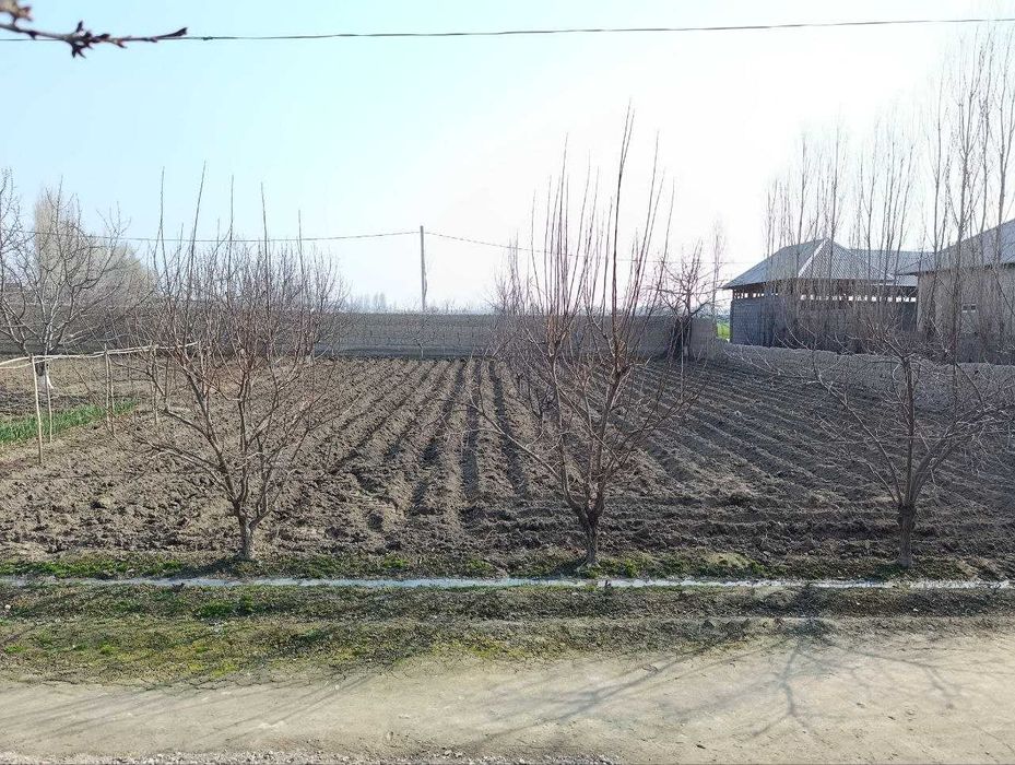 Учаска сотилади!  8 сотих. Аввалда