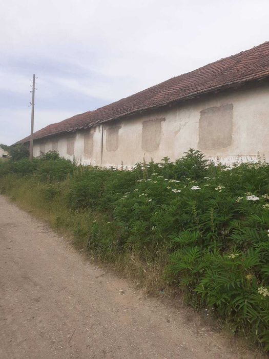 Продава се Промишлена сграда в Лом - 485 кв.м за 52 €/кв.м - Снимка #3