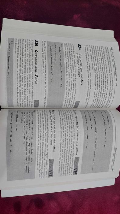 Carte Java 1001 Secrete pentru programatori