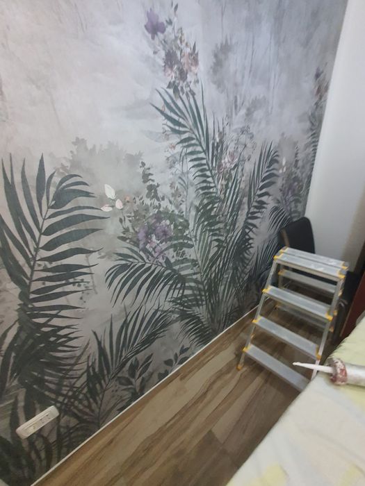 Zugravit/FinisajeInterioare/Exterioare/Renovari Vopsit airl