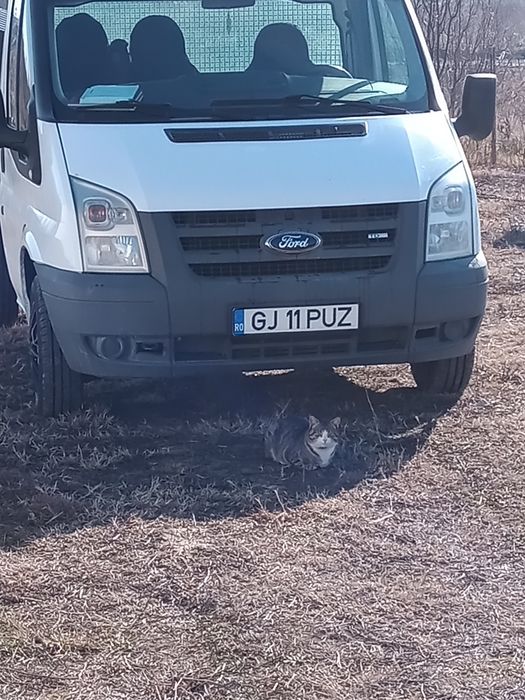 Ford Transit 2.2     camioneta  autoutilitara           .