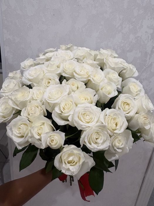 продам 51 белый роза