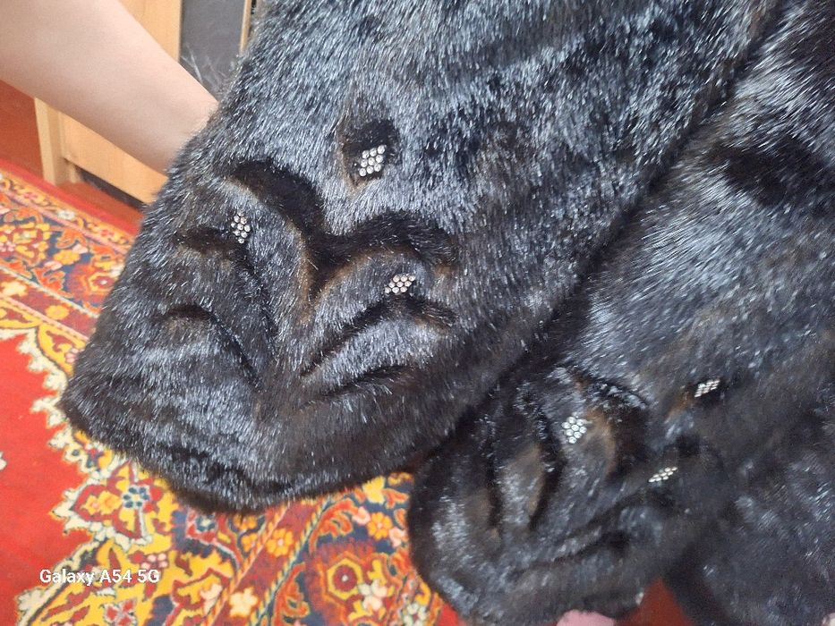 Zor shuba holati yangi 1marta kiyilgan