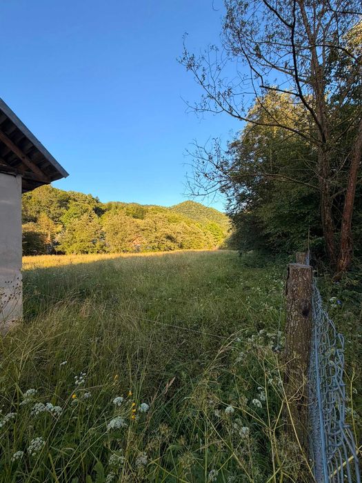 TEREN INTRAVILAN - Valea Vinului - Viseu de Sus - 25.8 ARI
