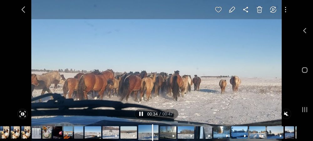 шаруашылық сатылады, продам хозяйство