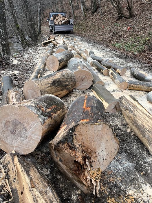 Vând lemne de foc esență tare