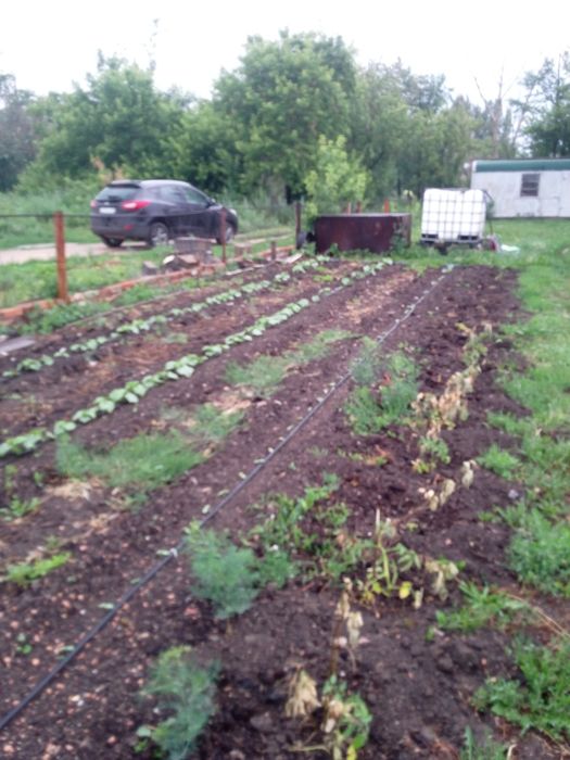 Продам Дом 35 соток земли. Делимый
