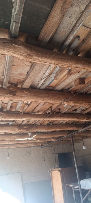 Tosin sotiladi 6.5 metrrli