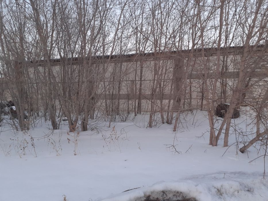 Крестьянское хозяйство