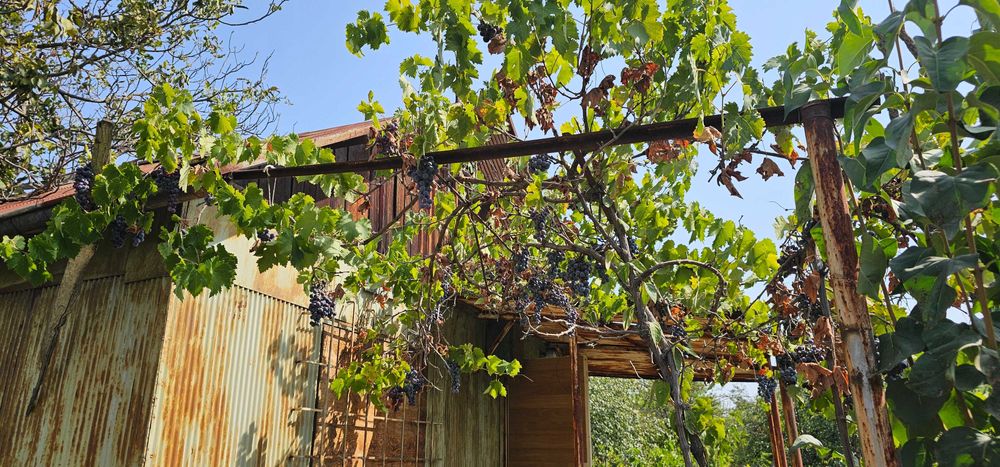 Продава се Парцел в Русе, в.з. Левента - 447 кв.м за 10 €/кв.м - Снимка #5