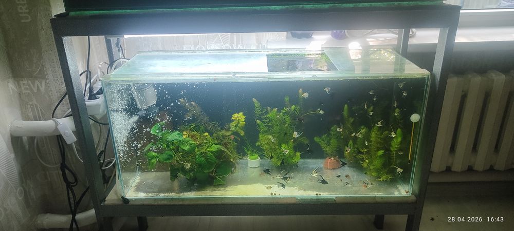 Аквариум 86 литров.