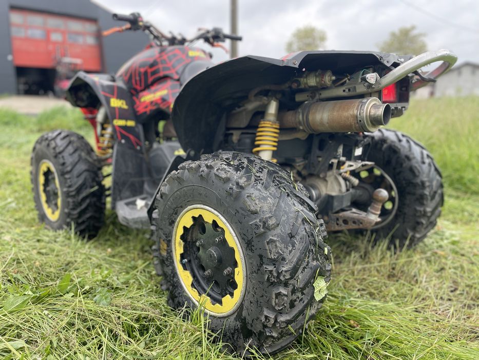 CAN AM 800 Renegate