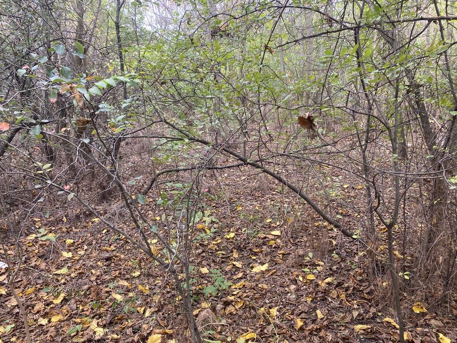 Продава се Къща в с. Самоводене, Област Велико Търново - 100 кв.м за 77 €/кв.м - Снимка #7