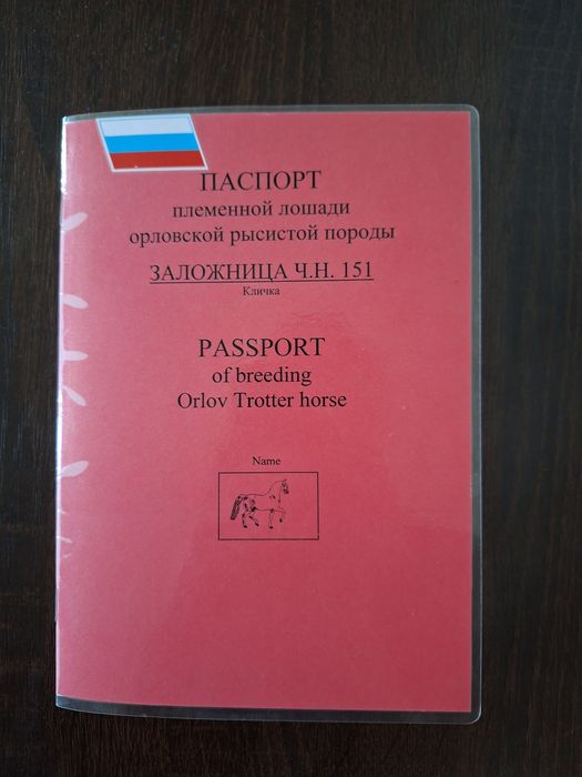 Кобыла породы Орловский рысак