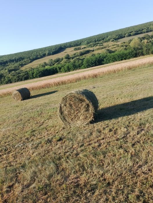 De vânzare baloți