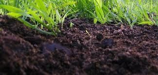 Доставка чернозем, перегной,дрова колотые