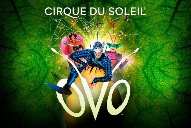 Билет за Cirque Du Solei - Ovo, Цирк Дьо Солей