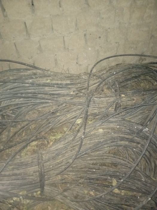 Израильский шланга