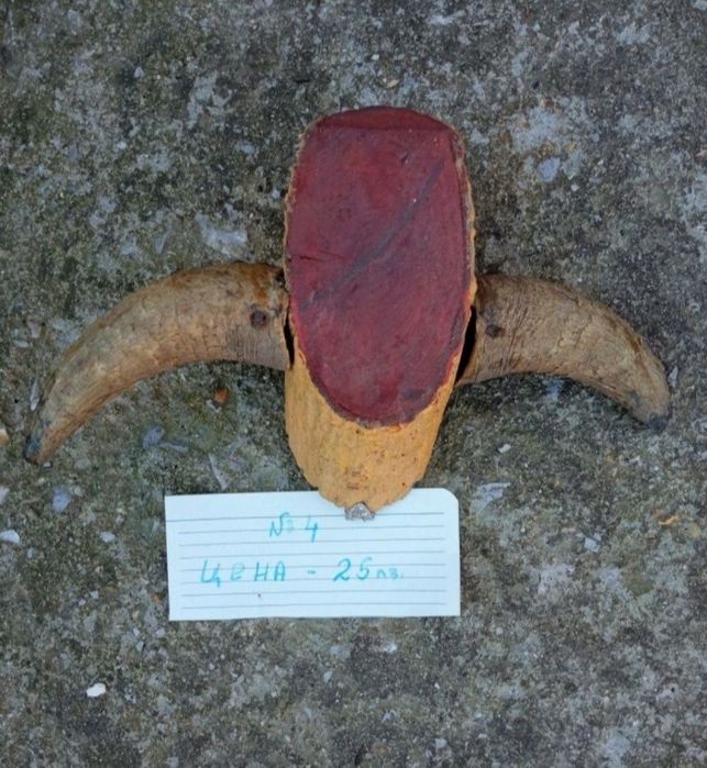 Трофеи от диви и домашни животни, дървена стойка за дискове.